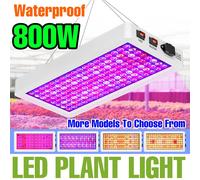 Luz LED de cultivo de plantas de 800W, tienda de campaña de invernadero de espectro completo, lámpara de cultivo hidropónico de flores en maceta, iluminación de relleno UV IR
