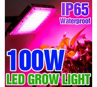 Luz Led de cultivo para plantas, lámpara hidropónica LED de espectro completo de 220V, fitoamplificador de luz, semillas de invernadero, iluminación de cultivo de flores, 50W, 100W