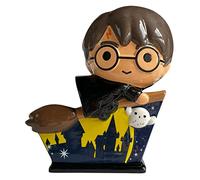 Lyo Harry Potter TIRELIRE Quidditch