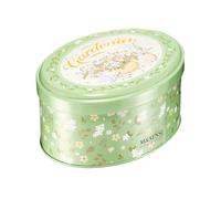 M&SENSE Velas Aromáticas Gardenia, 2 Mechas Velas Larga Duracion, Relajación en Casa y Decoración Salón, 70h Larga Duración, Cera de Soja 340g, Regalos cumpleaños mujer, Regalo Día de la Madre