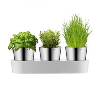 Maceta autorriego GOURMET HERB GARDEN, juego de 3 piezas, WMF