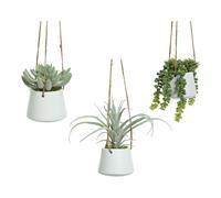 Maceta Colgante Suculenta 20 cm Modelos Variados