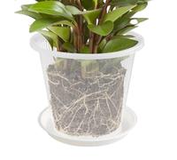 Maceta de malla para orquídeas con agujeros y platillo para trasplantar | Macetas de orquídeas con agujeros | Maceta de orquídeas | Contenedores transparentes para plantas suculentas Phalaenopsis