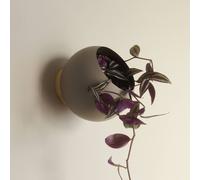 Maceta de pared Globe de AYTM, Ø 17 cm, marrón grisáceo, aluminio