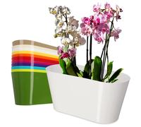 KADAX Maceta de plástico de 27 x 13 cm con forma ovalada para orquídeas, bellis, pensamientos, dracenos (blanco)