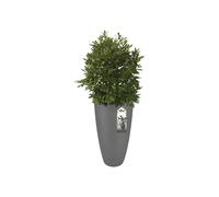 Maceta de plástico soft round high negro ø 50 cm