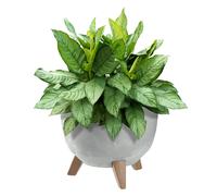 KADAX Maceta Decorativa de Plástico con Soporte Integrado, Macetero con Tres Patas de Imitación Madera para Interior y Exterior (Hormigón Gris, 29cm)
