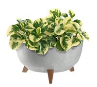KADAX Maceta Decorativa de Plástico con Soporte Integrado, Macetero con Tres Patas de Imitación Madera para Interior y Exterior (Hormigón Gris, 39.5 cm)