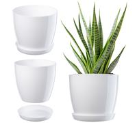 Maceta KADAX, macetero con posavasos, macetero redondo, 20 cm, blanco