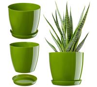 Maceta KADAX, macetero con posavasos, macetero redondo, 20 cm, verde