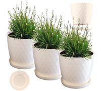 KADAX Macetero con platillo, macetero para flores, redondo, 16 cm, crema,...