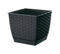 Maceta Prosperplast RATOLLA SQUARE 1,5L Ocre Oscuro para Jardín Blue