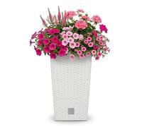 Prosperplast Maceta Rato Square 26,6 L Blanca con inserto