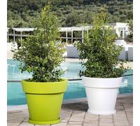 MACETA RESINA DIÁMETRO BLANCO 80 ÁRBOL JARDÍN BALCÓN INTERIOR EXTERIOR