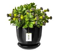 Macetas de cerámica, macetas para plantas, macetas para flores, macetas decorativas, macetas para interior, pintadas a mano, diámetro 305 mm, color , cerámica, incluye platillo, con orificio de drenaj