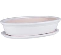 Macetas de cerámica para bonsái con plato, 40 cm. Maceta ovalada blanca para bonsái