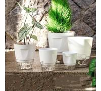 Macetas Modernas de Plástico con Autorriego para Orquídeas y Suculentas, Macetas de Interior para Balcón, Hogar, Oficina y Ventana Beige