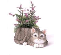 Macetas Unyqoos® con forma de gato, hechas de poliresina: figuras decorativas modernas que sirven como macetas para suculentas, de 20 x 15 x 9 cm, con embalaje de regalo