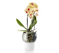 Macetero de autorriego, 15 cm, para orquídeas, vidrio, Eva Solo