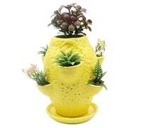 Macetero de terracota con bandeja de