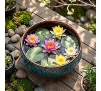Macetero Lotus Bowl - Cuenco de loto de cerámica hecho a mano de doble uso para lavado de té y maceta de bonsái para decoración del hogar, esmalte azul (6, 5 x 2, 6 pulgadas), decoración de verano