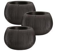 Macetero Wellhome PROSPERPLAST BETON BOWL de Plástico con Depósito en Color Cemento Negro, 11x14.4x14.4cm