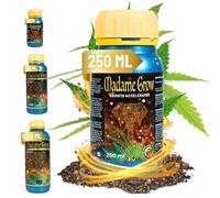 MADAME GROW abono plantas, fertilizante plantas, plantas verdes, sustrato plantas, fertilizante universal, abono foliar, abono organico, cogollador, mayor floración s/hormonas GROWTH ACCELERATOR 250ml