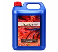 MADAME GROW Fertilizante 420 plantas verdes - Abono para plantas verdes - Abono líquido para plantas - Fertilizante para el crecimiento universal - Fertilizante para la floración(LACALVA 5L)