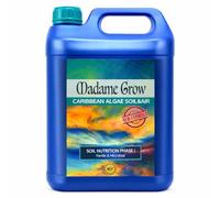 MADAME GROW Fertilizantes alga marihuana - abono floración marihuana - cogollador marihuana - fertilizante floración marihuana - fertilizante marihuana - liquido - engordar (CARIBBEAN ALGAE 5L)