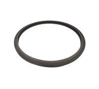 Magefesa - Junta de Silicona de 22cm Compatible con Olla Express, Modelos NOVA, NOVA PRO, PRISMA, ASTRA, 09REMEJSN46, 8429113545352