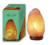 MAGIC SALT LIGHTING FOR YOUR SOUL Lámpara de Sal del Himalaya de 2-3kg con regulador y bombilla LED
