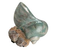 MAGICLULU Estatua de Concha Marina Grande Decorativa, Resina Resistente, Ambiente Náutico para Hogar y Oficina, Adorno de Mesa Temática Oceánica, Pieza Única para Decoración Costera, 1