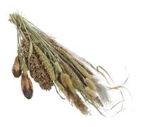 MAGICLULU Ramo de Hierba de Pampa Artificial y Caña Seca Decorativa para Hogar y Hoteles, Material de Sorgo y Junco, Estilo Rústico y Farmhouse, 1 Manojo para Decoración