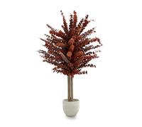 Maia Shop Eucalipto Preservado - Eucalipto Natural, Árbol Eucalipto Preservado Naranja Baby 100 cm con Hojas Secas, Decoración Hogar, Plantas Naturales Interior