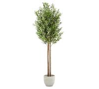 Maia Shop Olivo Artificial 185 cm - Arbol Mediterraneo Realista de Interior | Planta Artificial Alta con Tronco Natural y Aceitunas de PE para Casa, Salón, Recibidor y Oficina - Maceta Negra Incluida