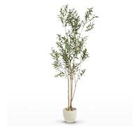 MAIA SHOP Olivo Artificial Flair 210 cm - Árbol Realista de Interior | Olivo Artificial con Tronco Natural y Aceitunas para Salón Recibidor Oficina - Maceta Negra Incluida