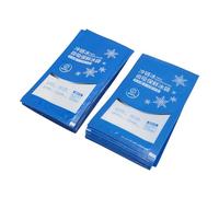 MAJONMMERD Bolsas de Hielo Reutilizables de Lámina de Nailon, 100 Unidades, Bolsas de Hielo para Loncheras, Neveras Portátiles, Camping y Transporte de Alimentos (350ML)