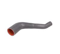 Manguera de radiador THERMOTEC DCF038TT