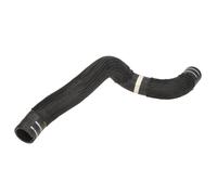Manguera de radiador THERMOTEC DWF002TT