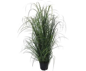 Manojo de hierba en maceta de plástico negro