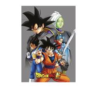 Manta polar 100 x 140cm dragon ball EL PRECIO INCLUYE 5 UNIDADES