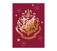 Manta Polar Hogwarts Harry Potter 140 X 100 CM