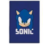 Manta polar sonic the hedgehog