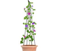 Marco de obelisco de soporte vertical para obeliscos de jardín | Enrejado de jardinería al aire libre de 160 cm de alto para tomate, uva, pepino, guisantes, vides, vegetales, flores, macetas