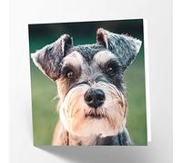 Maturi Schnauzer - Tarjeta de felicitación de cumpleaños (15,5 x 15,5 cm), color blanco