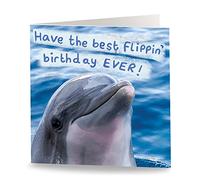 Maturi Tarjeta de felicitación de cumpleaños con diseño de delfín graciosa con texto en inglés Flippin Birthday (interior en blanco, 15,5 x 15,5 cm)