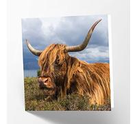 Maturi Tarjeta de felicitación en blanco con imagen de vaca de las tierras altas