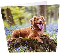 Maturi Tarjeta fotográfica de felicitación de cumpleaños con diseño de perro, 15,5 x 15,5 cm