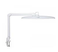 MAUL Lámpara escritorio MAULexplore LED blanca regulable con pinza | luz blanca tipo día, brazo doble ajustable, fijación estable, brillo a medida, ideal para mesa de trabajo