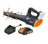 MAXXT Soplador de Hoja, Aspirador de Hojas a Batería, 2,0 Ah y Cargador